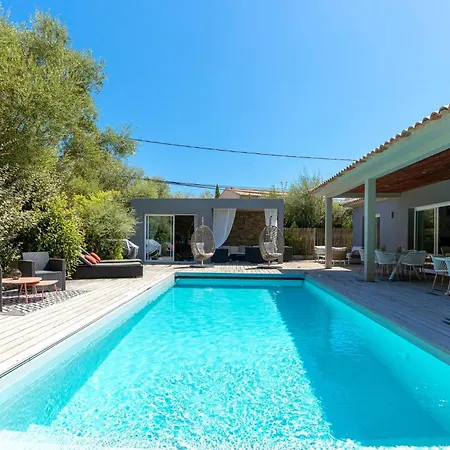 Meli Melo فيلة Pinarellu